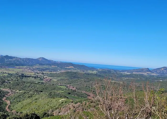 Apartment Conca D'oro